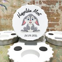 Magnet modelleri