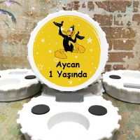 Hediyelik Magnet Magnet modelleri