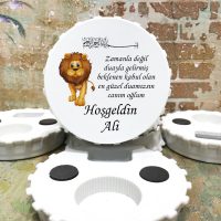 Hediyelik Magnet Magnet modelleri