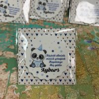 Pandalı Magnet Resimli Magnet