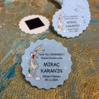 Magnet Resimli Magnet