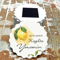 Resimli Magnet